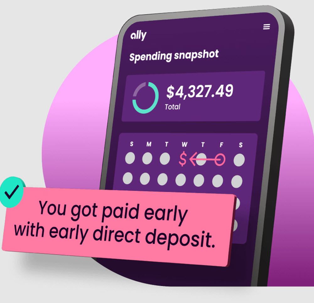 Ally Spending Snapshot feature