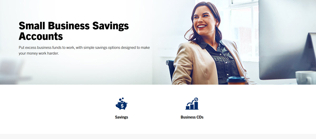 Comerica business savings account options