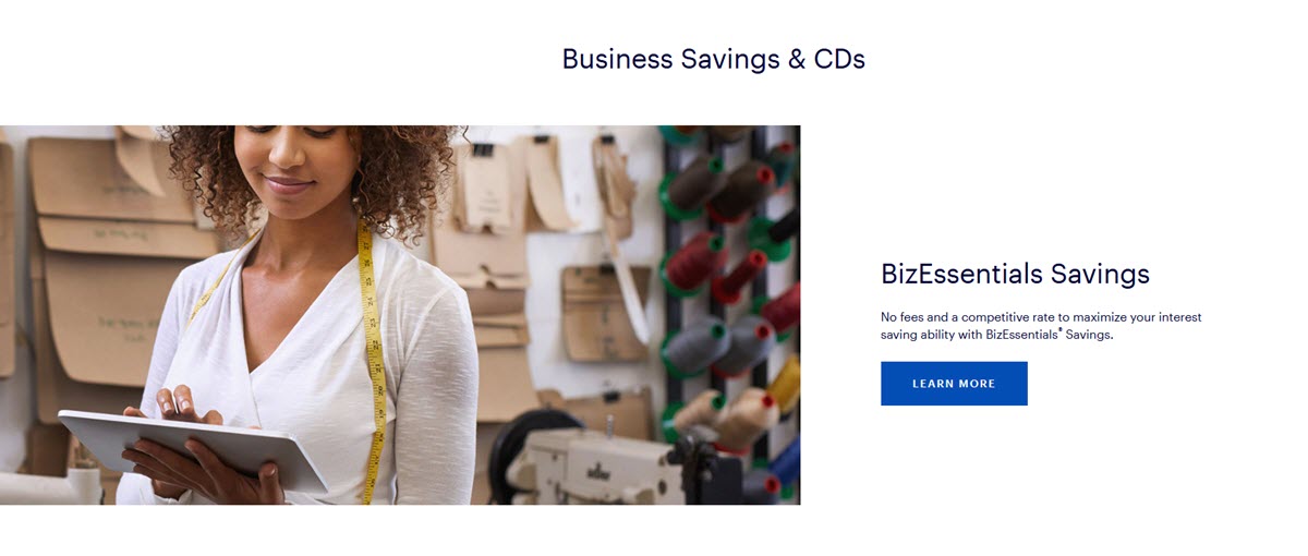 First Horizon business savings accounts